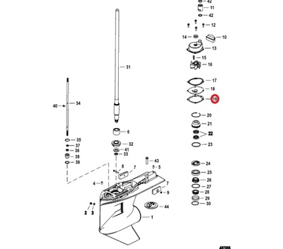 GASKET W/P LOWER